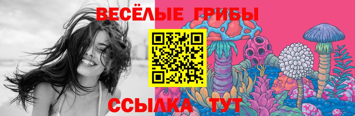 Псилоцибиновые грибы прущие грибы Мелеуз