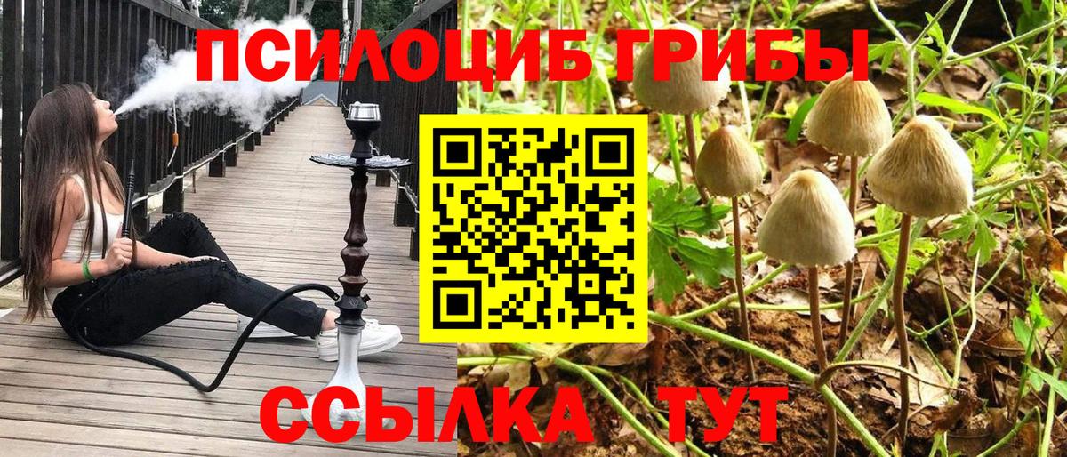 даркнет сайт  Псилоцибиновые грибы Psilocybine cubensis  Псилоцибиновые грибы Psilocybe  Вход с VPN  Мелеуз 